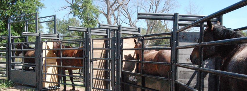 V.E.T.S. Livestock Management